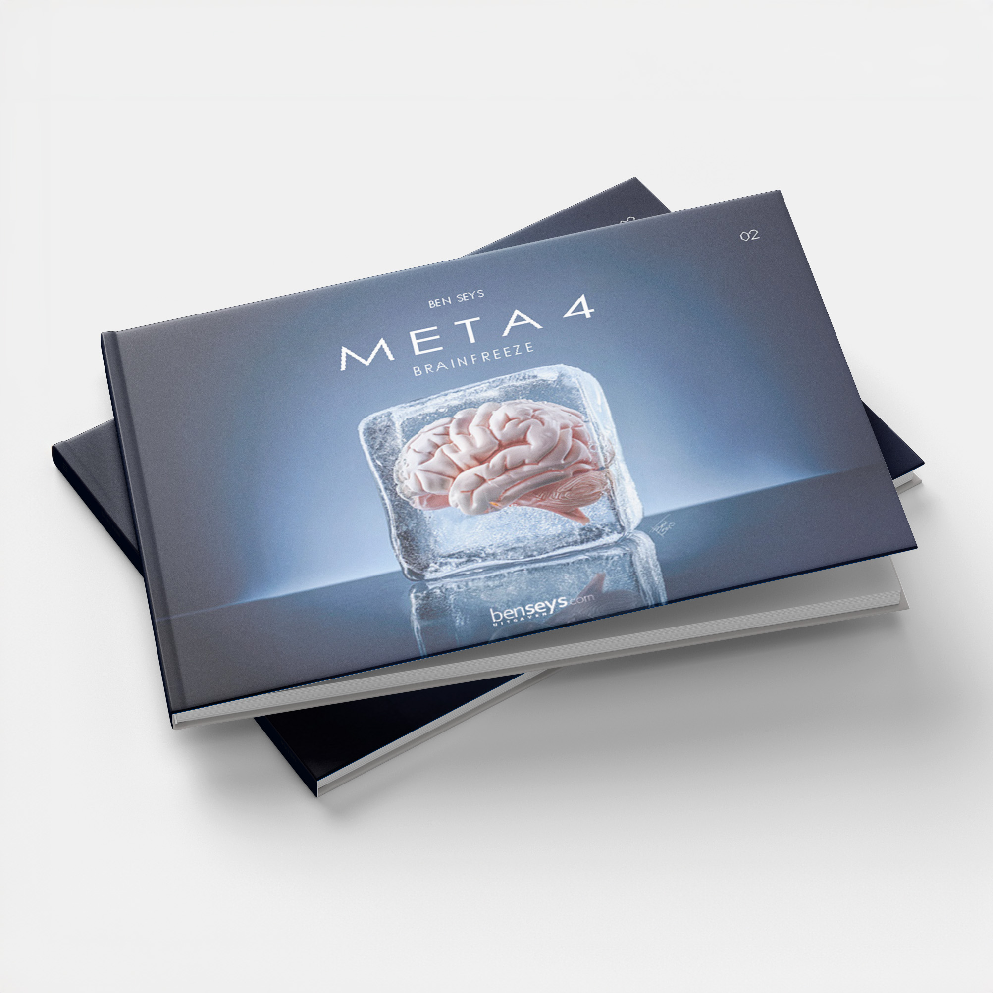 Meta4 02 Brainfreeze by Ben Seys